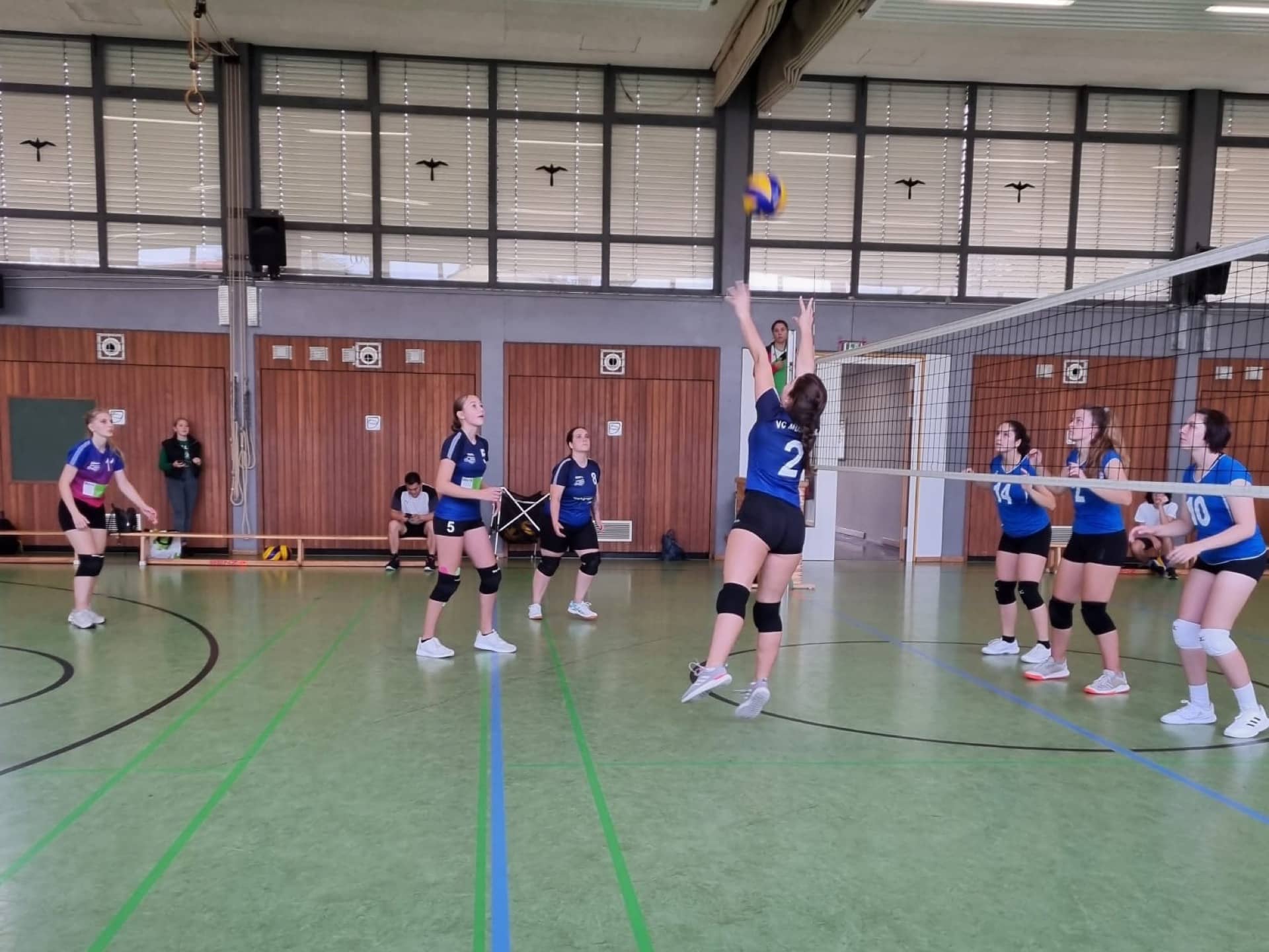 Damen I holen weitere 6 Punkte in Weil