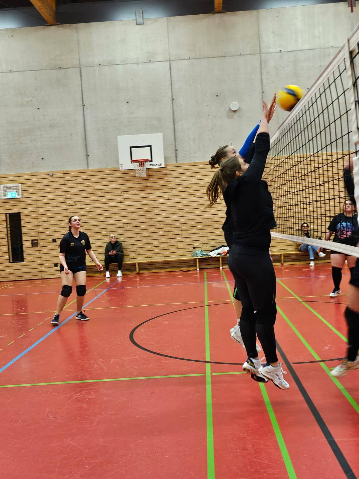 Damen I Testspiel gegen TV Hartheim
